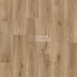 Линолеум Tarkett Bonus Platon 4 фото 1 | FLOORDEALER